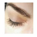 •Классическое наращивание ресниц
•изгиб С
•max 12