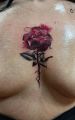 Роза на груди