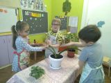 Ухаживаем за комнатными растениями