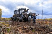 Вспашка лесных делянок