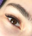 Фото вблизи. Можно рассмотреть как идеально проработана каждая ресничка.
