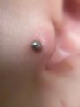 Пирсинг трагус (козелок) 1000р. Базовое украшение в подарок